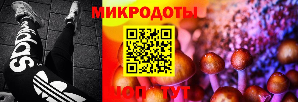 Ессентуки  Псилоцибиновые грибы GOLDEN TEACHER  Вход с VPN 