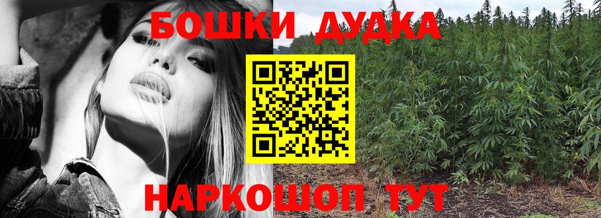 Шишки марихуана семена Ессентуки